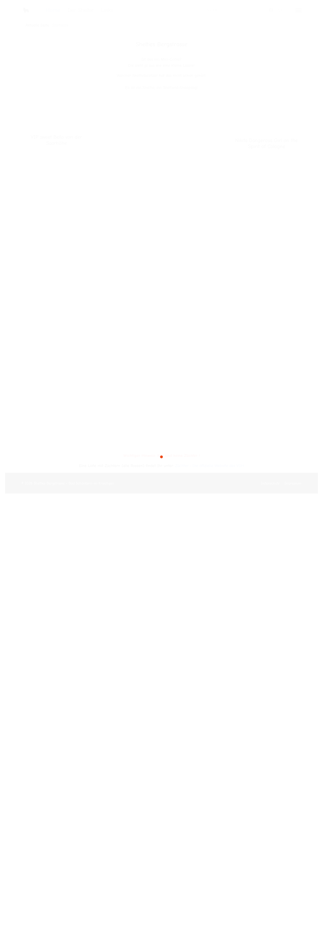 Websitevorschau